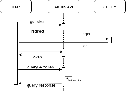 token verifier flow CELUM